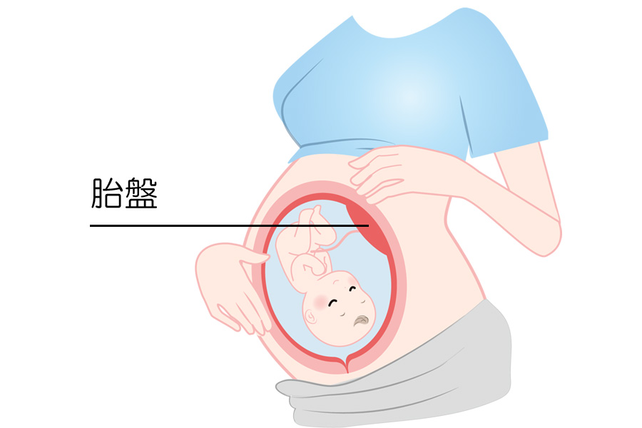 医療法人 長谷川医院 | 内科・消化器外科・外科・理学療法科